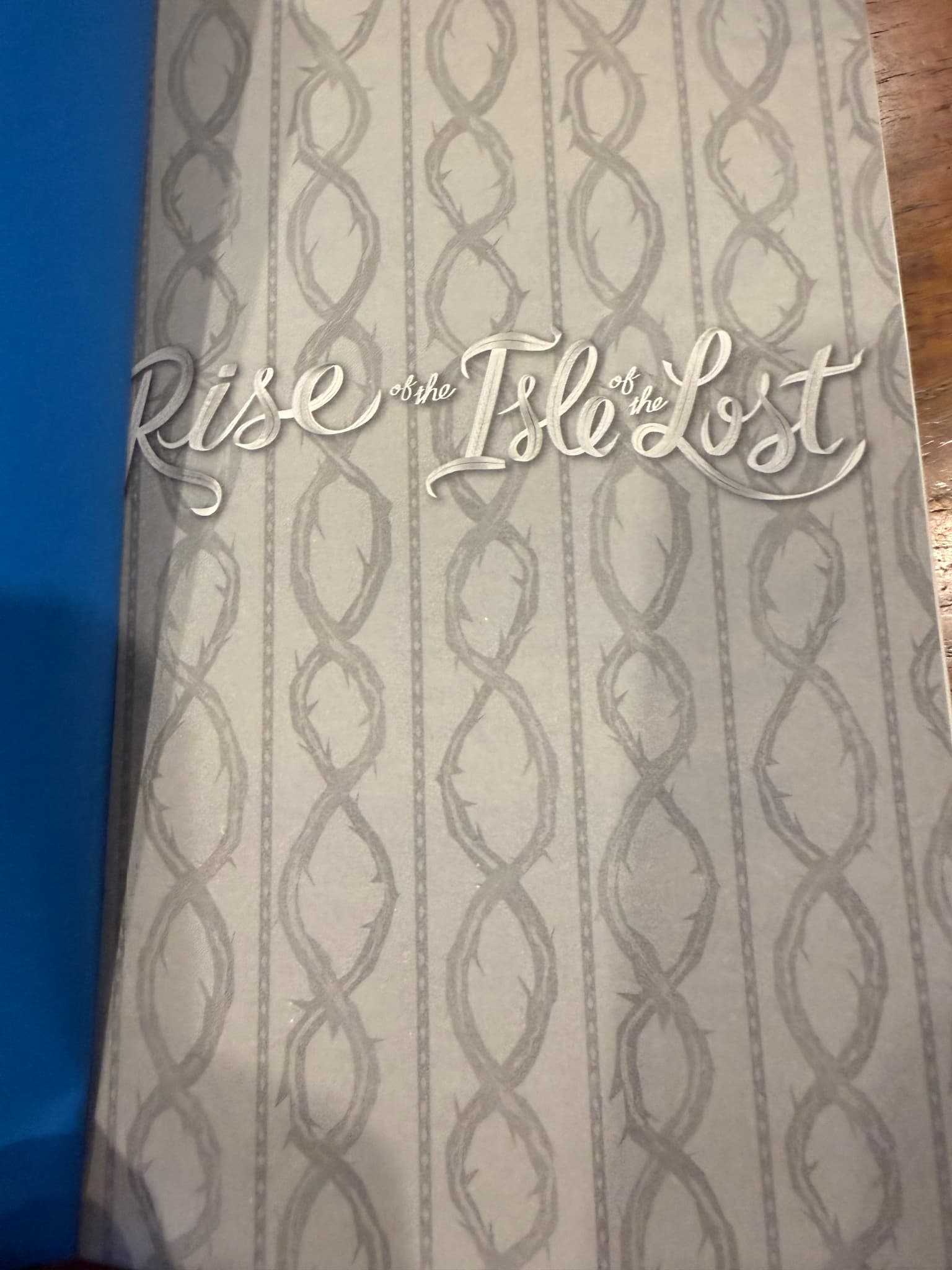 Disney Rise of the Isle of the Lost Book 3 Hardcover — photo 4 of 6