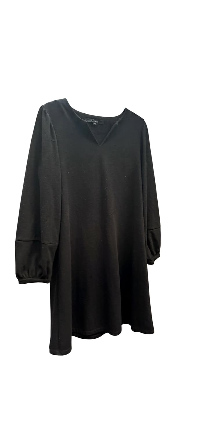 Stella Long Sleeve V-Neck Tunic Dress Black XS — photo 1 of 15
