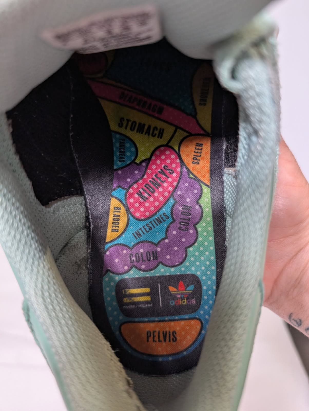 Adidas Superstar Pharrell Williams Sneakers - Mint Green US 4 — photo 2 of 8
