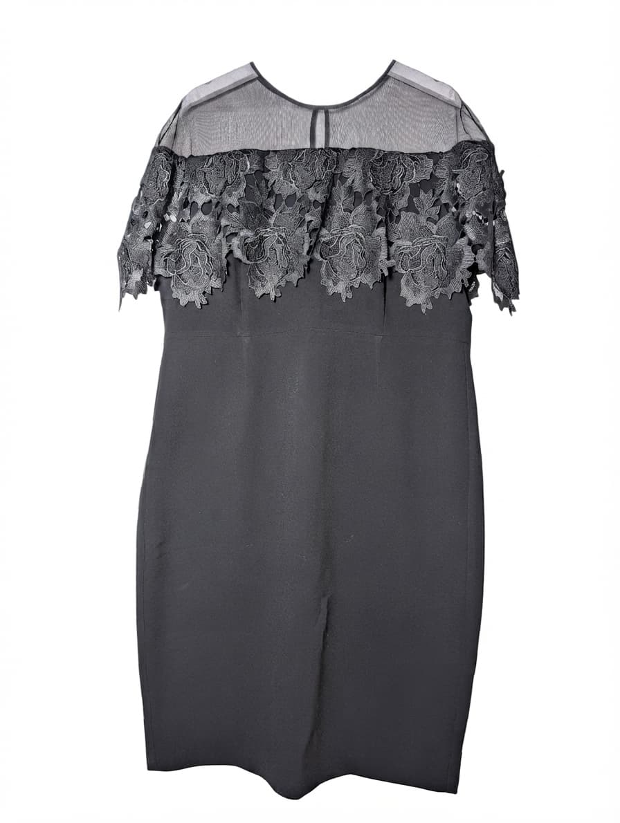 Anthea Crawford Black Lace Overlay Sheath Dress Size 18 — photo 1 of 8