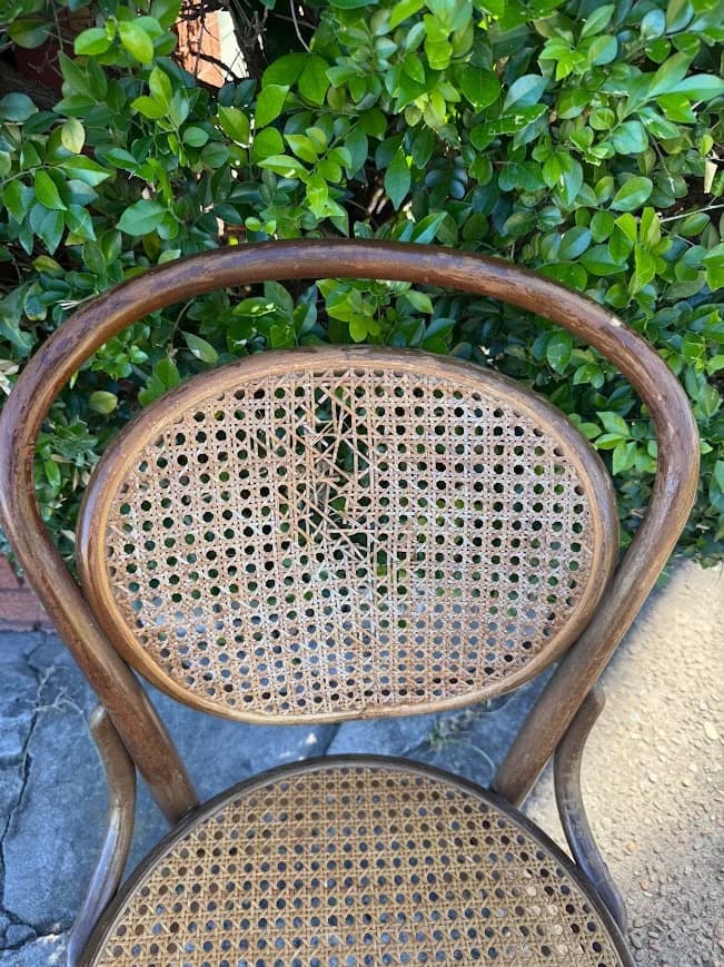 Bentwood Chair Cane Seat Vintage Timber Dining Cafe Thonet Style Retro — photo 5 of 5
