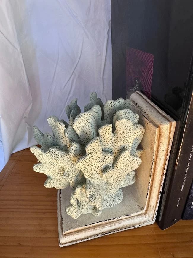 Bookends Coral Style Decorative Pair Coastal Hamptons Shelf Decor White — photo 5 of 5