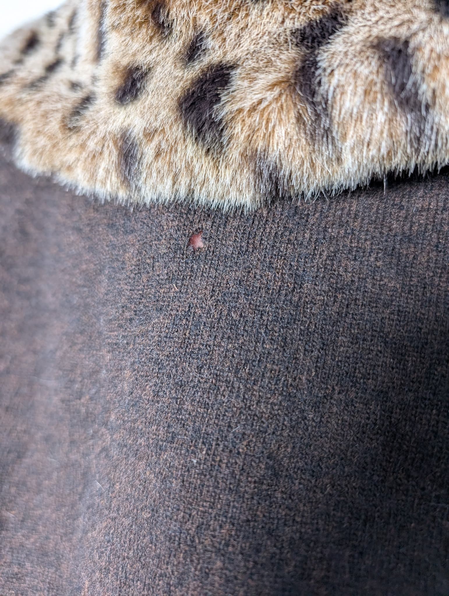 East Knit Cardigan Brown Leopard Print Faux Fur Collar Women's Size S — photo 5 of 9