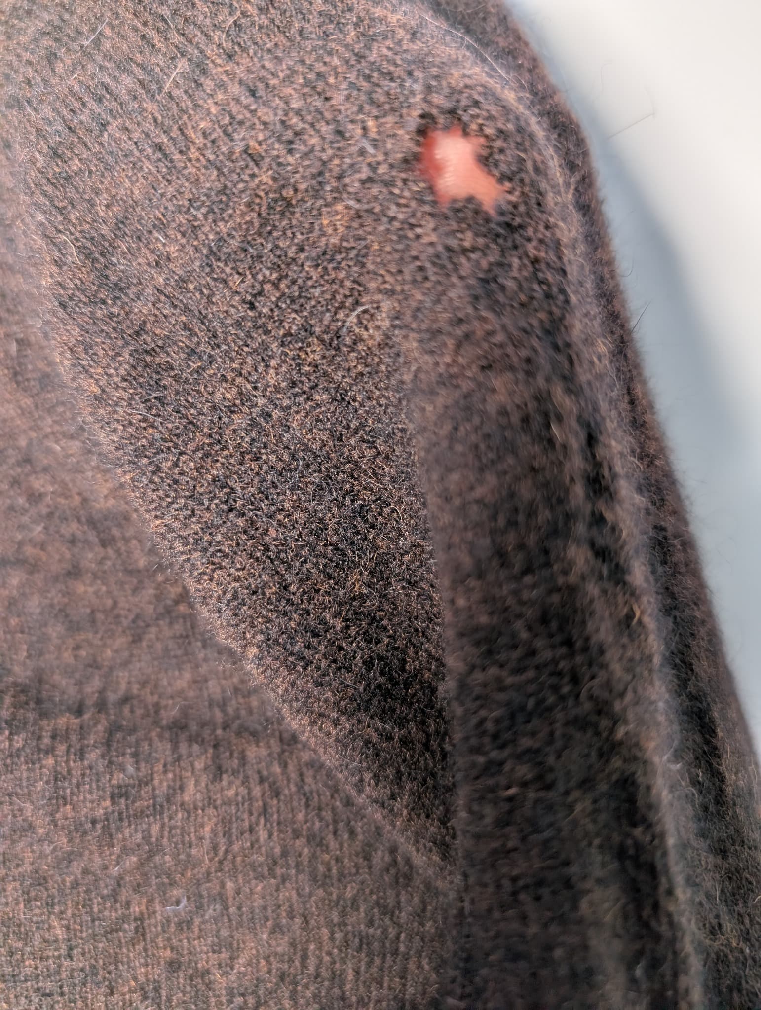 East Knit Cardigan Brown Leopard Print Faux Fur Collar Women's Size S — photo 6 of 9