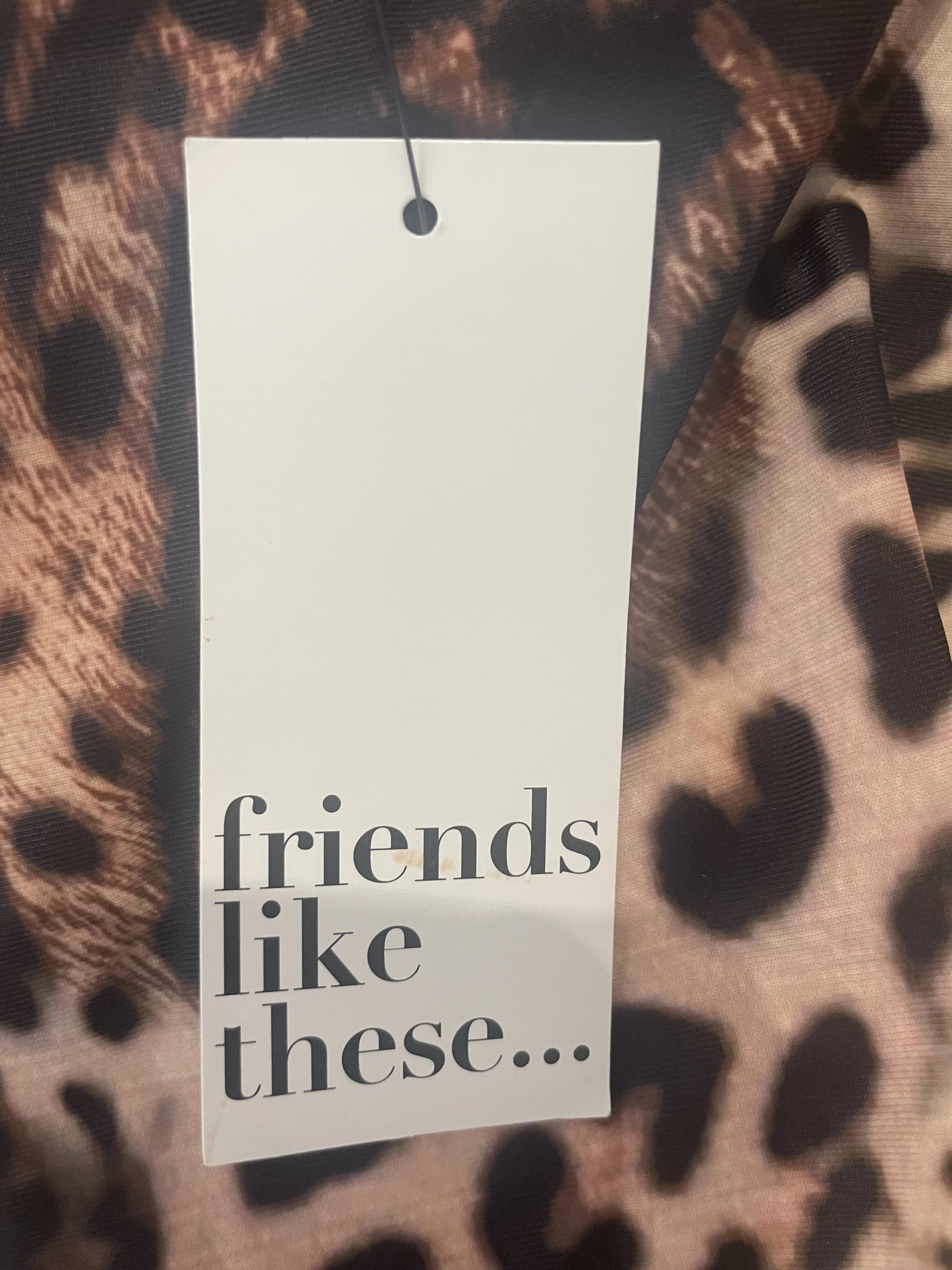 Friends Like These Leopard Print One-Piece Swimsuit Size UK 12 — photo 4 of 4