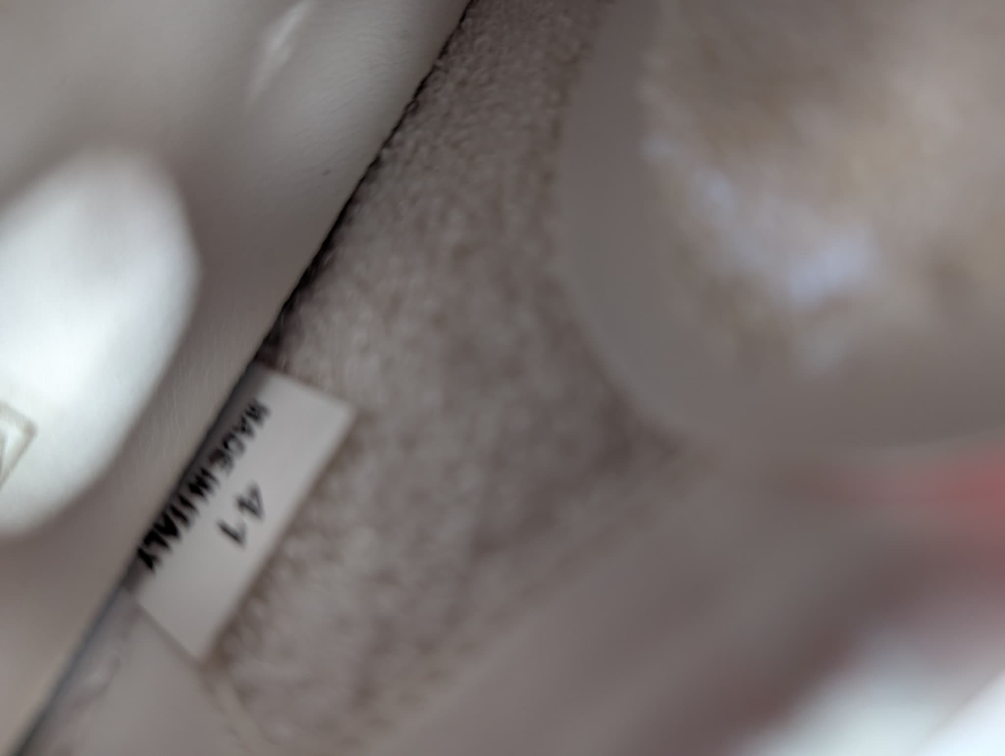 Stella McCartney 2001 Sneakers White Leather EU 41 — photo 9 of 10
