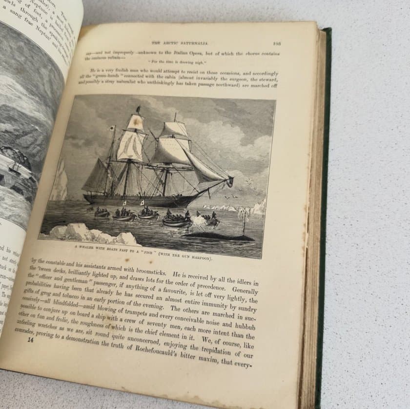 The Countries of the World Vol. I - Robert Brown Antique Hardcover c.1890 — photo 7 of 10