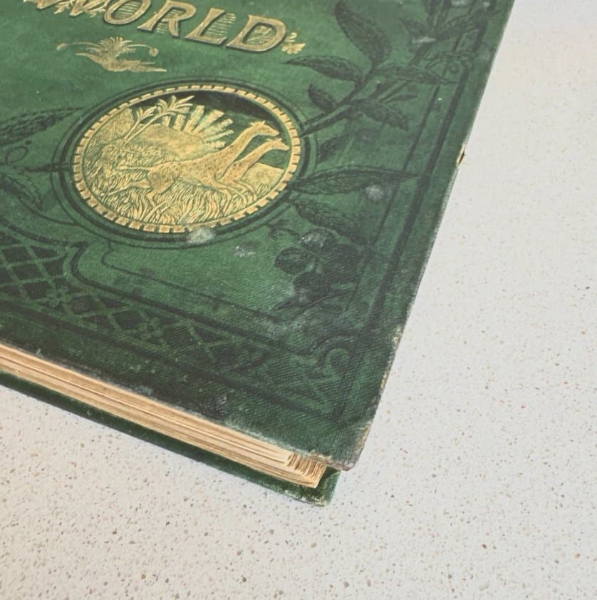 The Countries of the World Vol. I - Robert Brown Antique Hardcover c.1890 — photo 5 of 10
