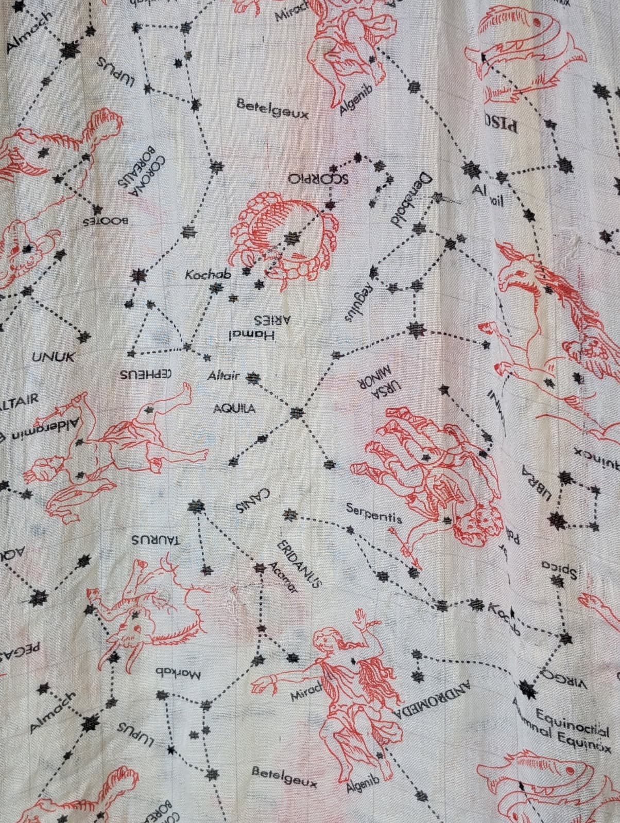 Vintage Celestial Constellation Map Print Scarf Cream & Red — photo 2 of 5