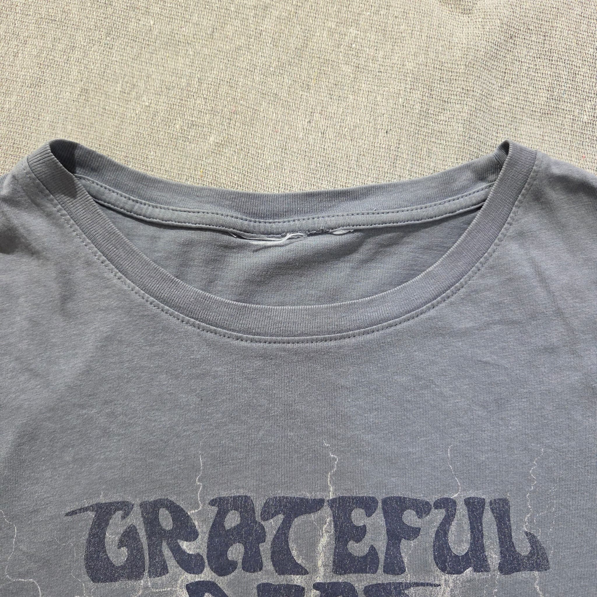 Grateful Dead Roses Graphic T-Shirt Grey — photo 4 of 7
