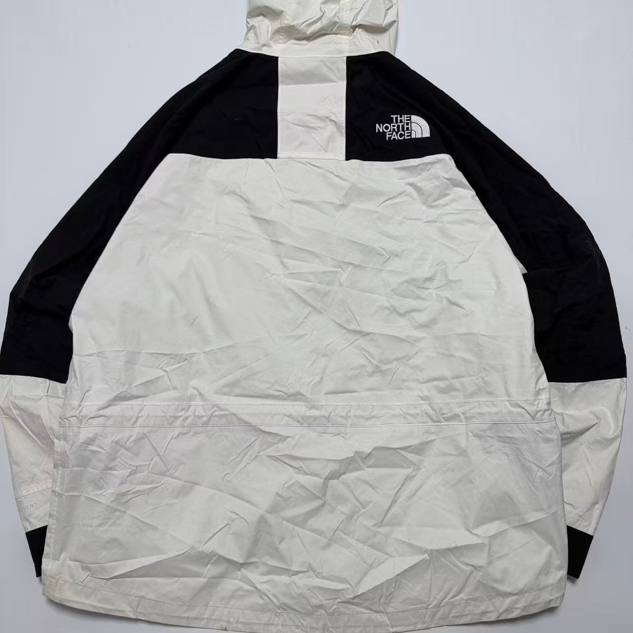 The North Face Mountain Light Jacket White Black — photo 2 of 10