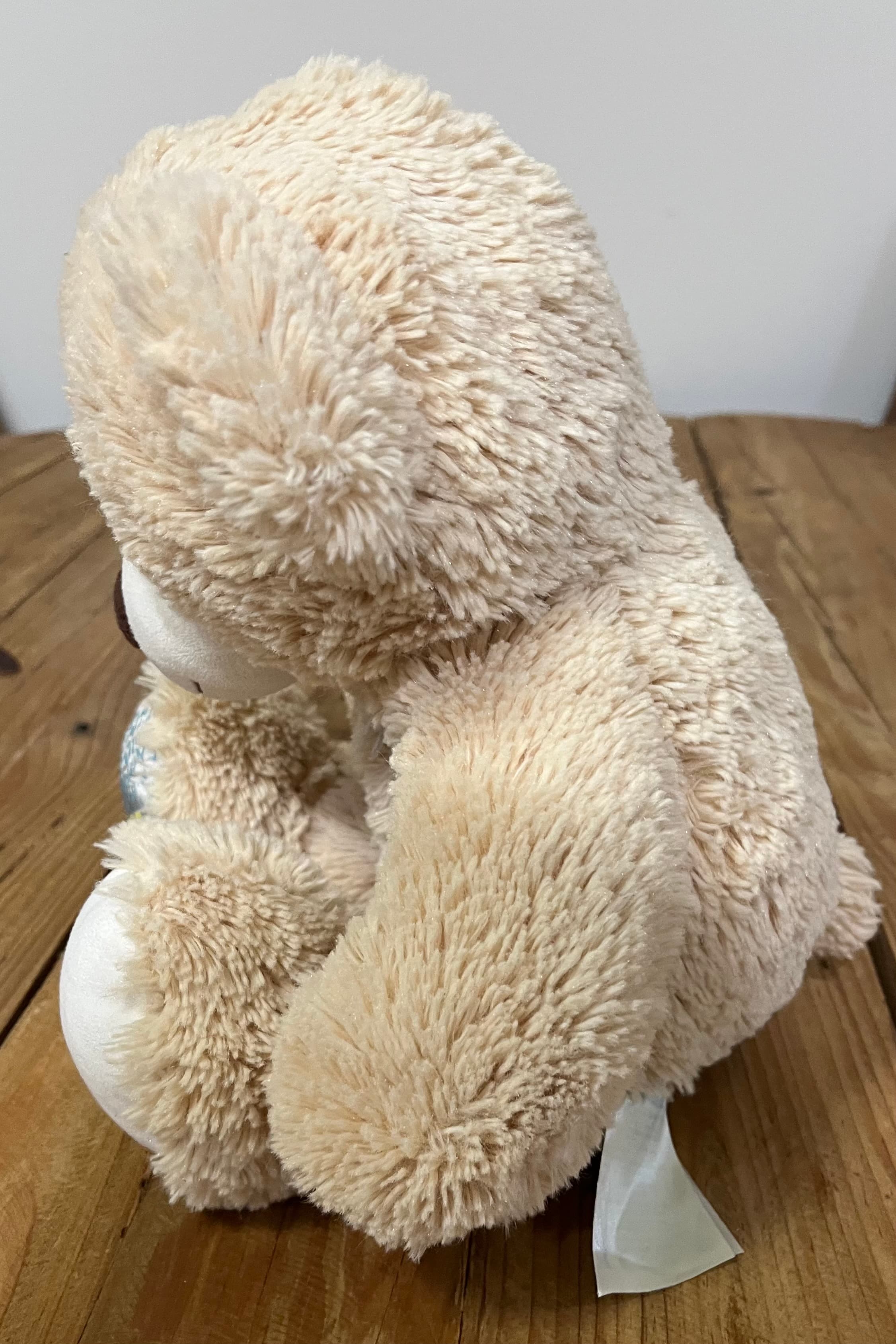 Build a Bear Surfboard Theme Teddy Bear Plush Toy 2013 — photo 3 of 4