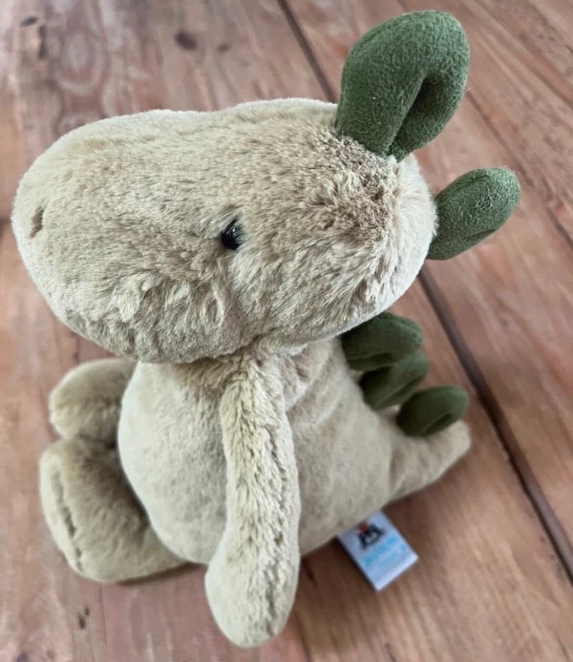 Jellycat Retired Medium Bashful Dinosaur in Very Good Condition Without Tags — photo 2 of 8
