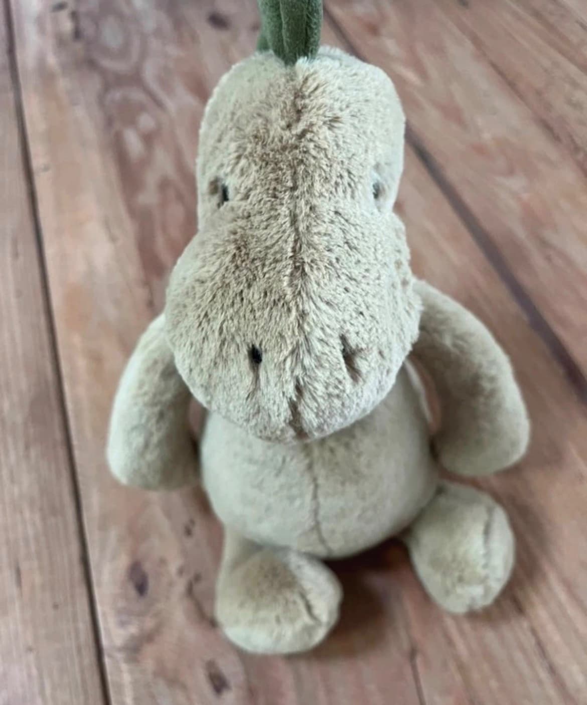Jellycat Retired Medium Bashful Dinosaur in Very Good Condition Without Tags — photo 4 of 8