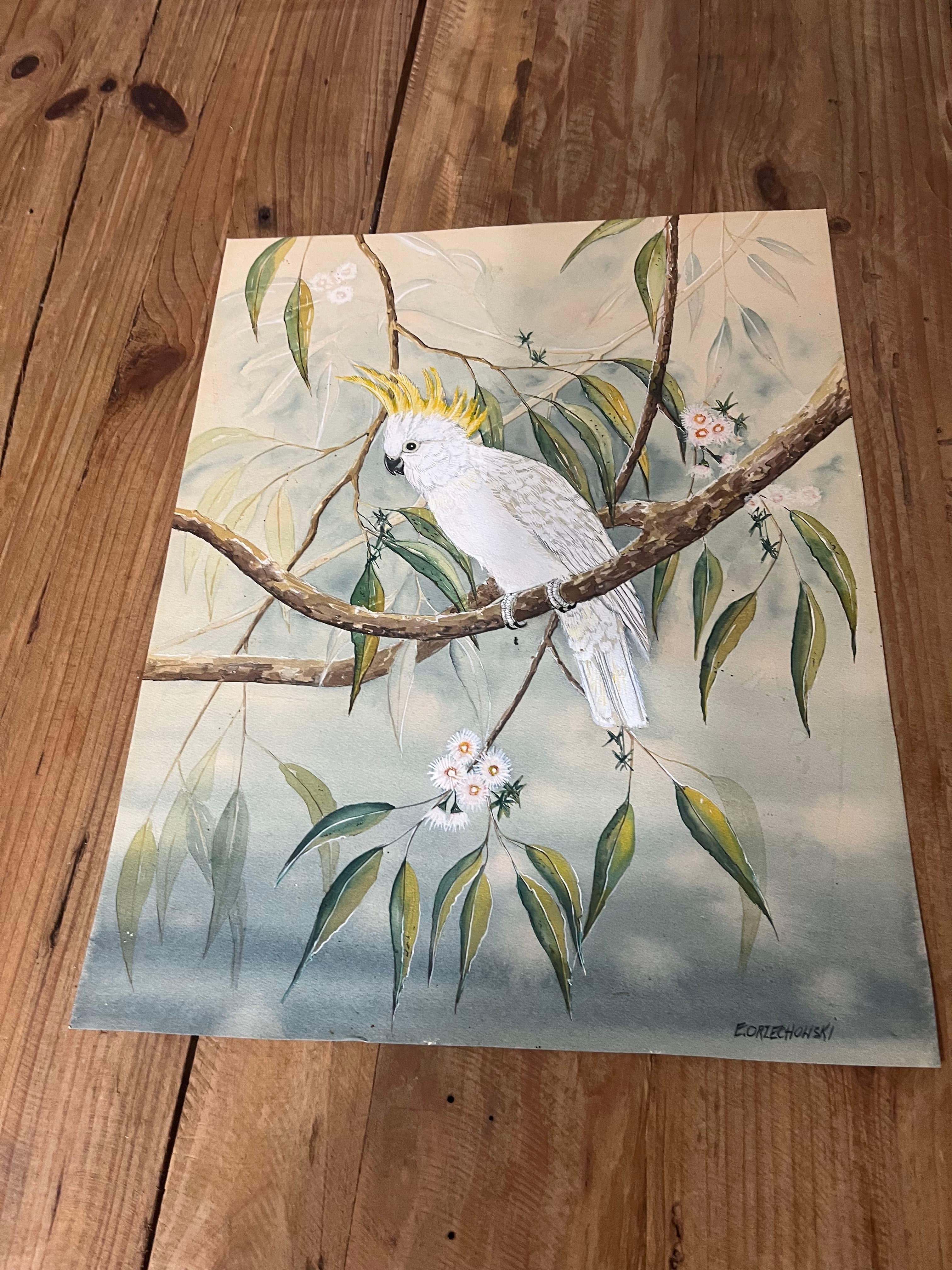 Original Watercolor Painting Sulphur-Crested Cockatoo by E.Orzechowski — photo 1 of 7