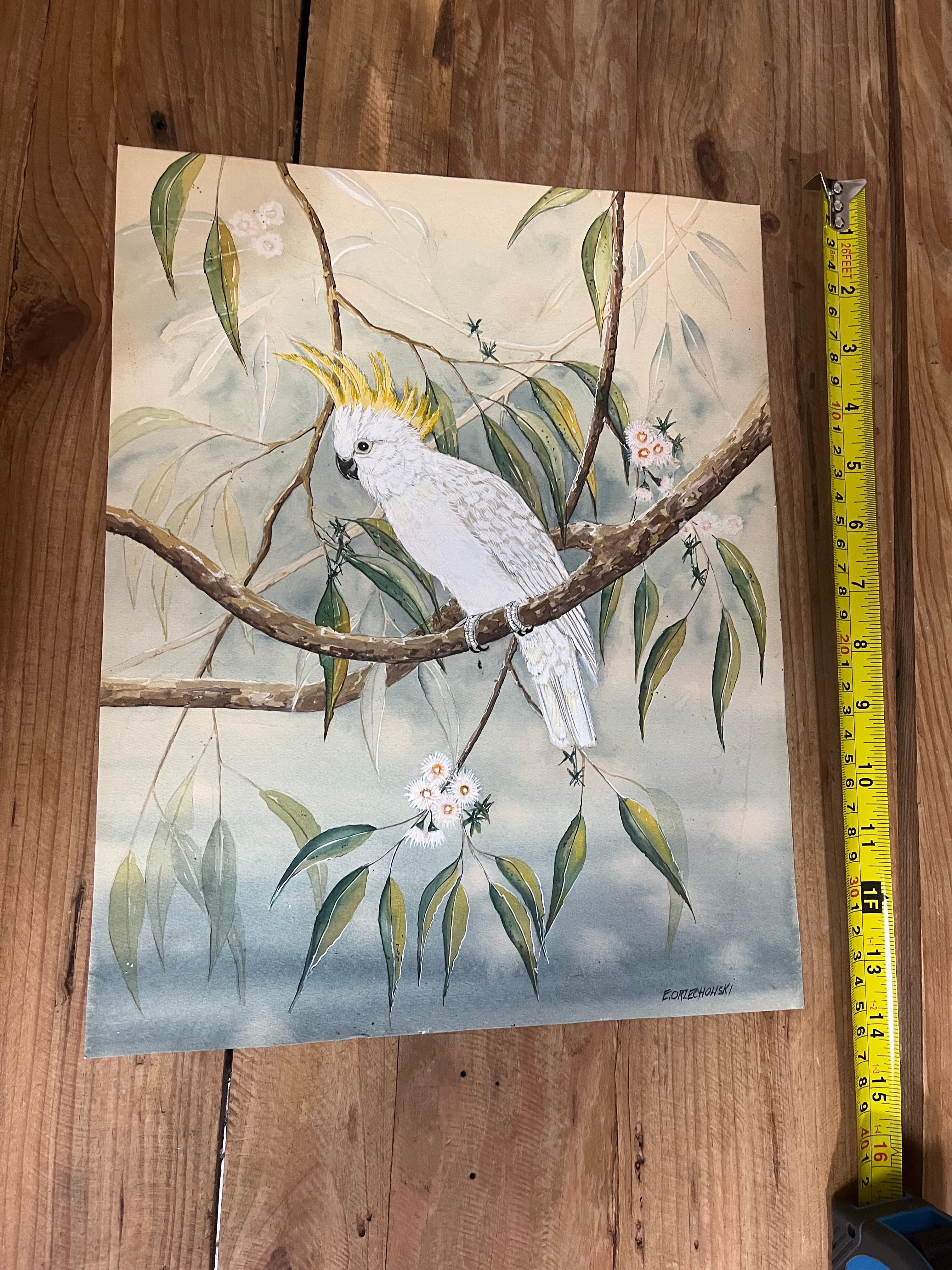 Original Watercolor Painting Sulphur-Crested Cockatoo by E.Orzechowski — photo 3 of 7