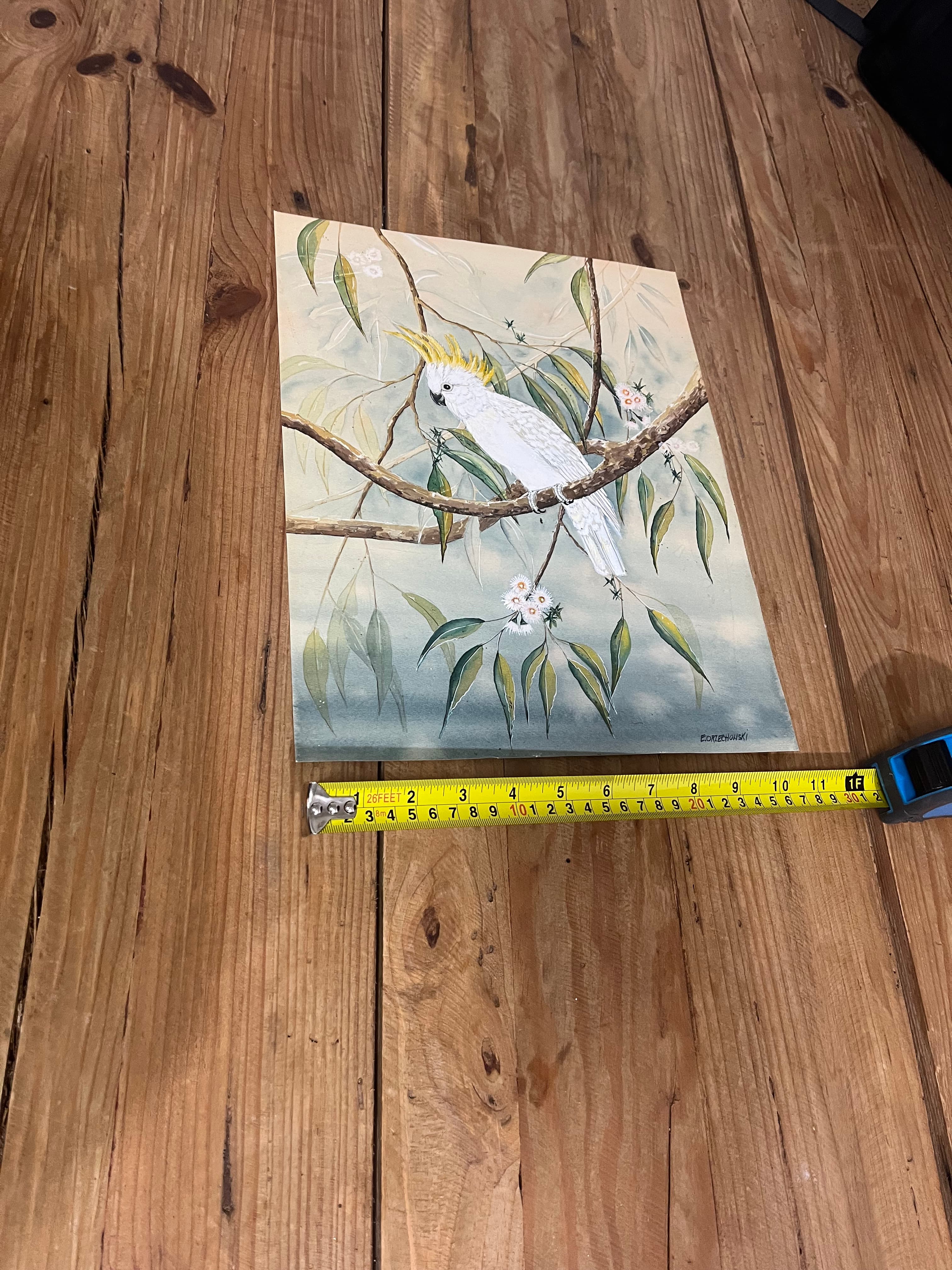 Original Watercolor Painting Sulphur-Crested Cockatoo by E.Orzechowski — photo 5 of 7