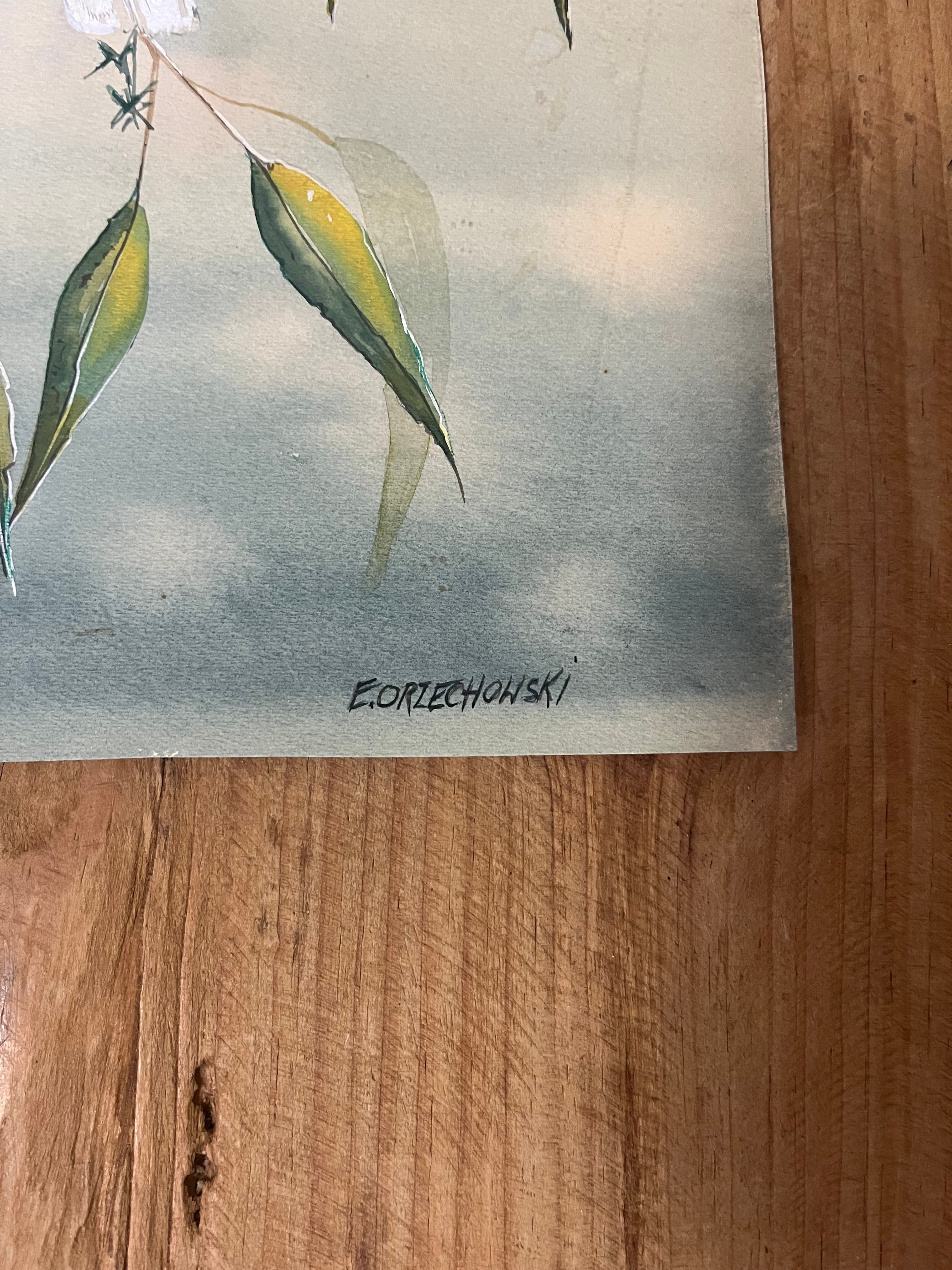 Original Watercolor Painting Sulphur-Crested Cockatoo by E.Orzechowski — photo 7 of 7
