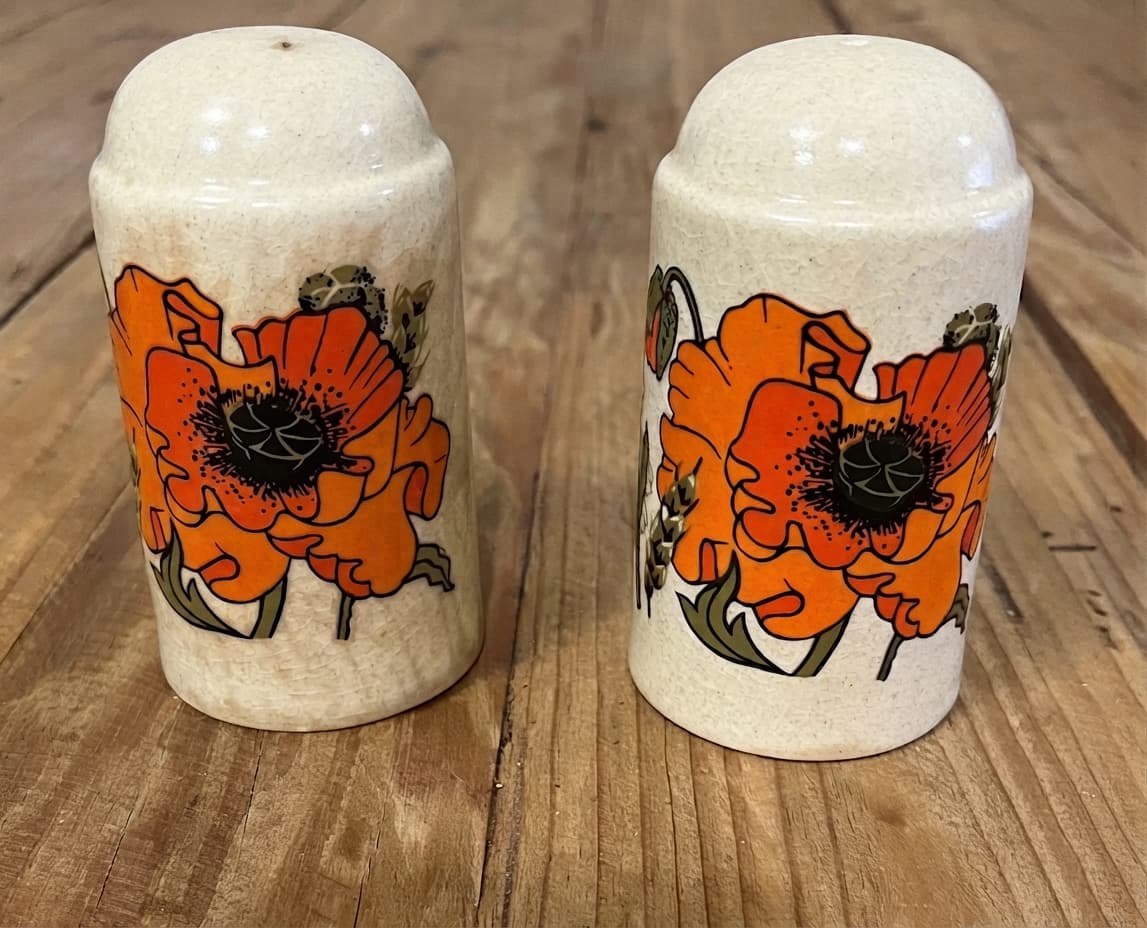 Vintage Mid-Century Modern Poppy Pattern Ceramic Salt And Pepper Shakers — photo 1 of 4