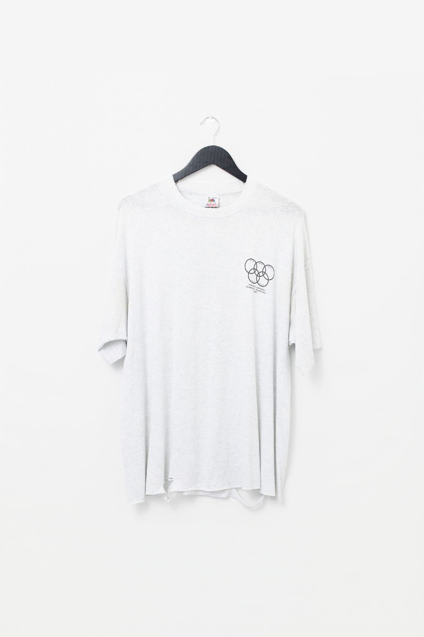 Vintage 1994 Princeton University Sports Fest T-Shirt