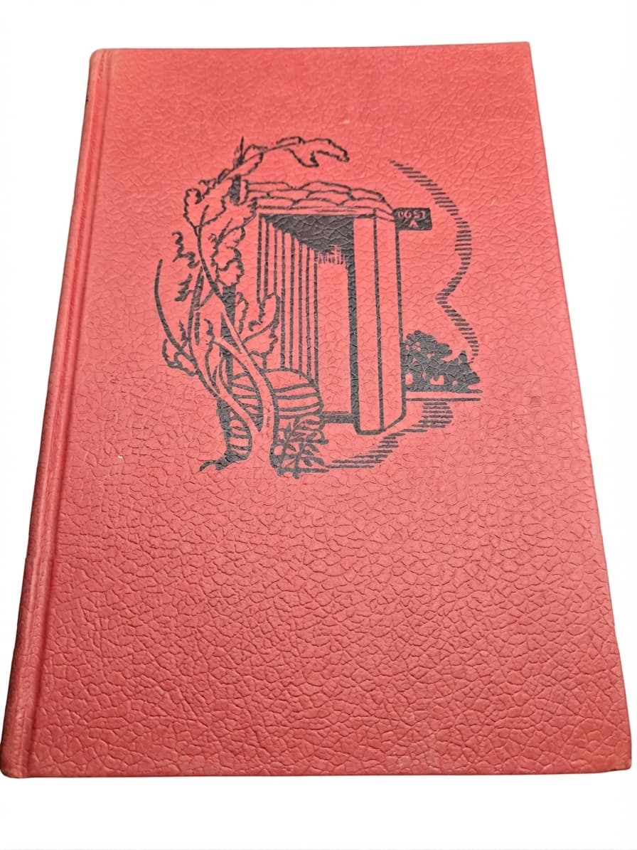 Dimsie Carries On by Dorita Fairlie Bruce (1950 Reprint) — photo 1 of 4