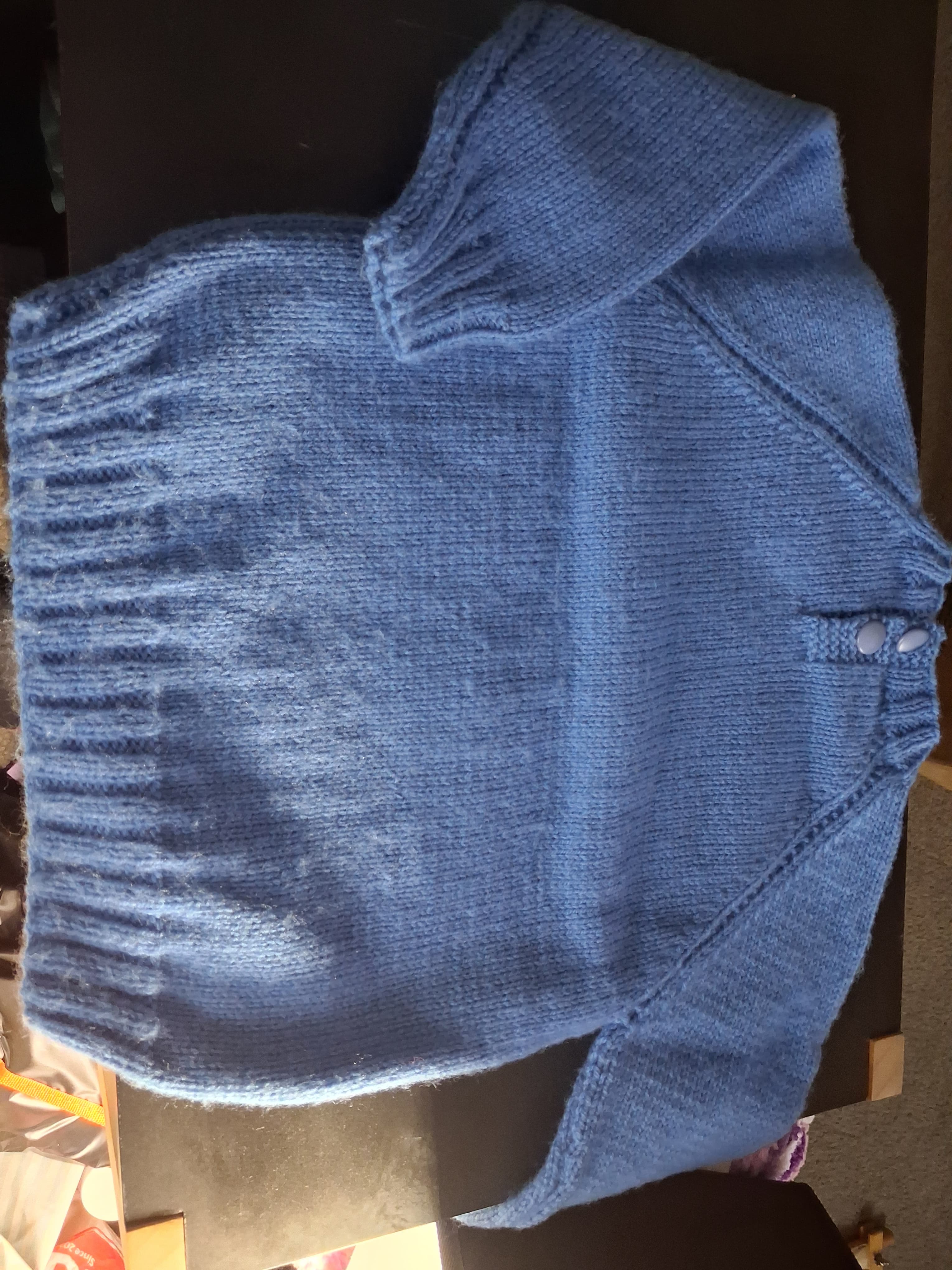 Hand-Knitted Baby Sweater With Seal Motif Blue — photo 4 of 4
