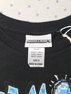 Minecraft Graphic T-Shirt Diamond Miner Slogan Black Boys 8 — photo 2 of 3