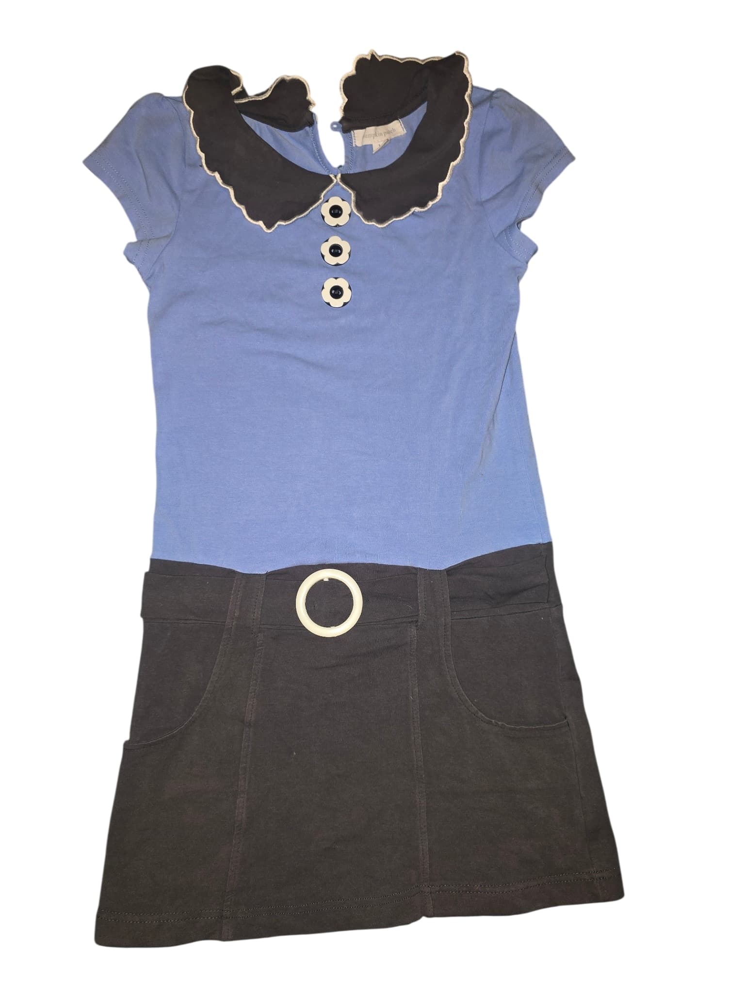 Pumpkin Patch Dress Peter Pan Collar Blue and Brown Girls 10 — photo 1 of 5