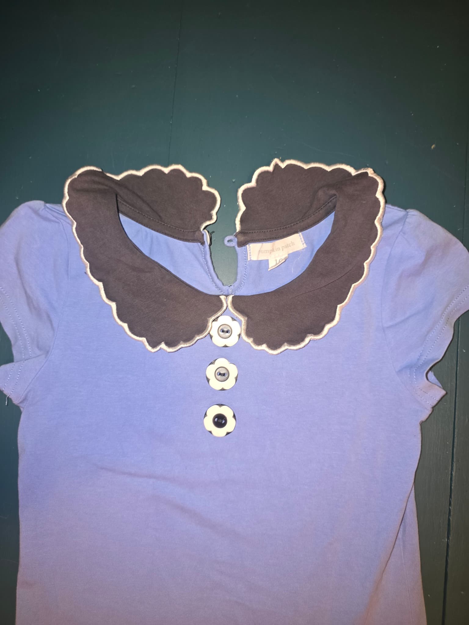 Pumpkin Patch Dress Peter Pan Collar Blue and Brown Girls 10 — photo 2 of 5