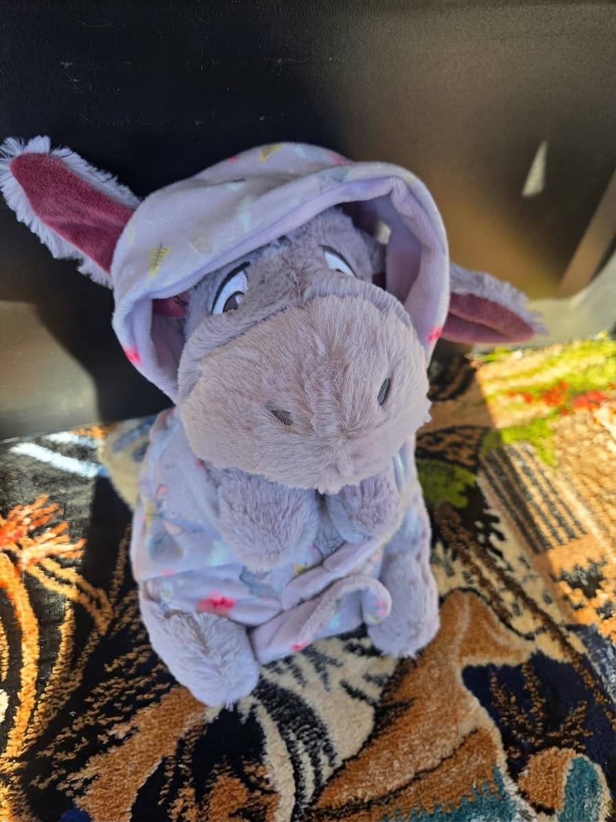Eeyore Plush Toy In Pajamas With Hood — photo 1 of 2