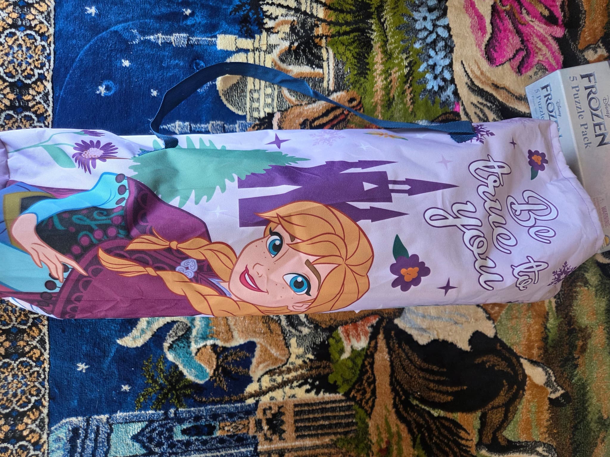 Hunter Leisure Frozen Anna & Elsa Kids Camping Chair With Canopy — photo 1 of 2