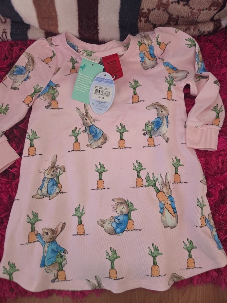 peteralexander Peter Rabbit Nightie - Pink Long Sleeve Size 2 — photo 1 of 2