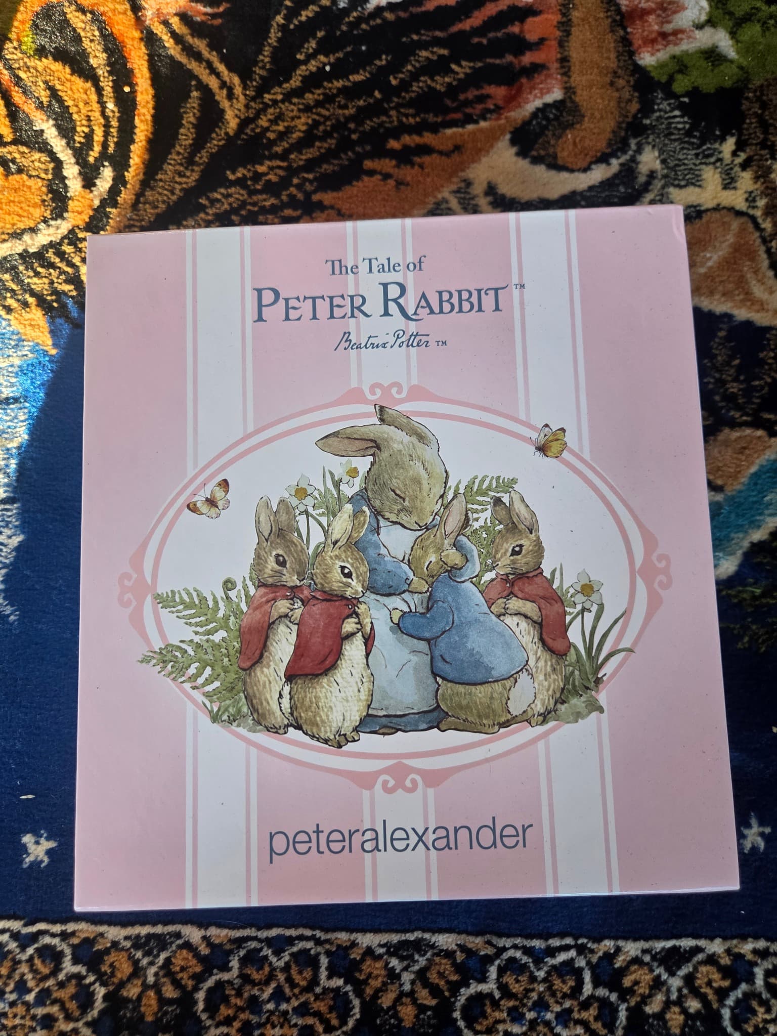 peteralexander Peter Rabbit Pajama Set - Girls Size 5 BNWT — photo 2 of 4