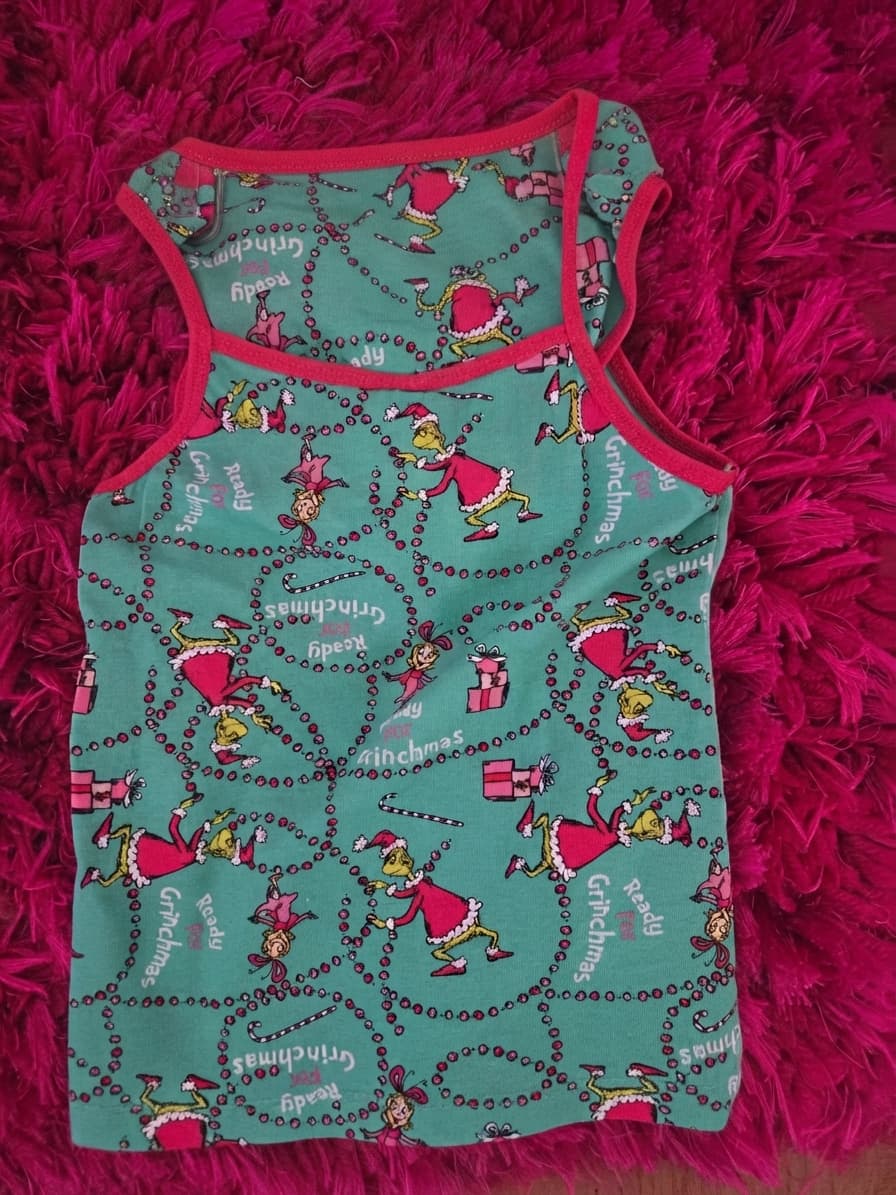 The Grinch Ready For Grinchmas Singlet & Brief Set - Size 3-4 — photo 1 of 4