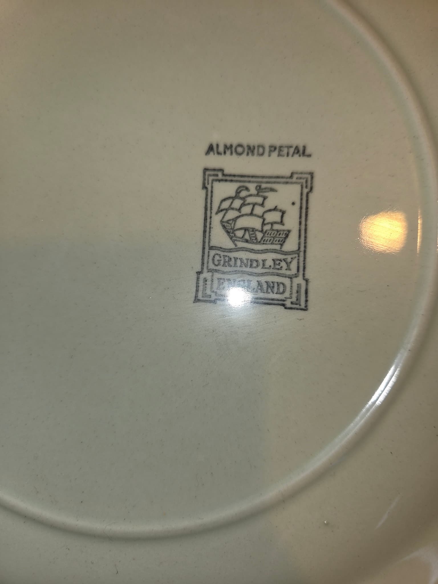 Vintage GRINDLEY Almond Petal Scalloped Dinner Plates — photo 2 of 2
