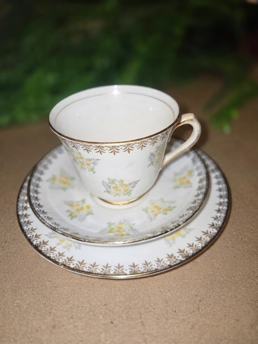 Vintage Salisbury Bone China Floral Tea Cup, Saucer and Plate Trio — photo 1 of 3