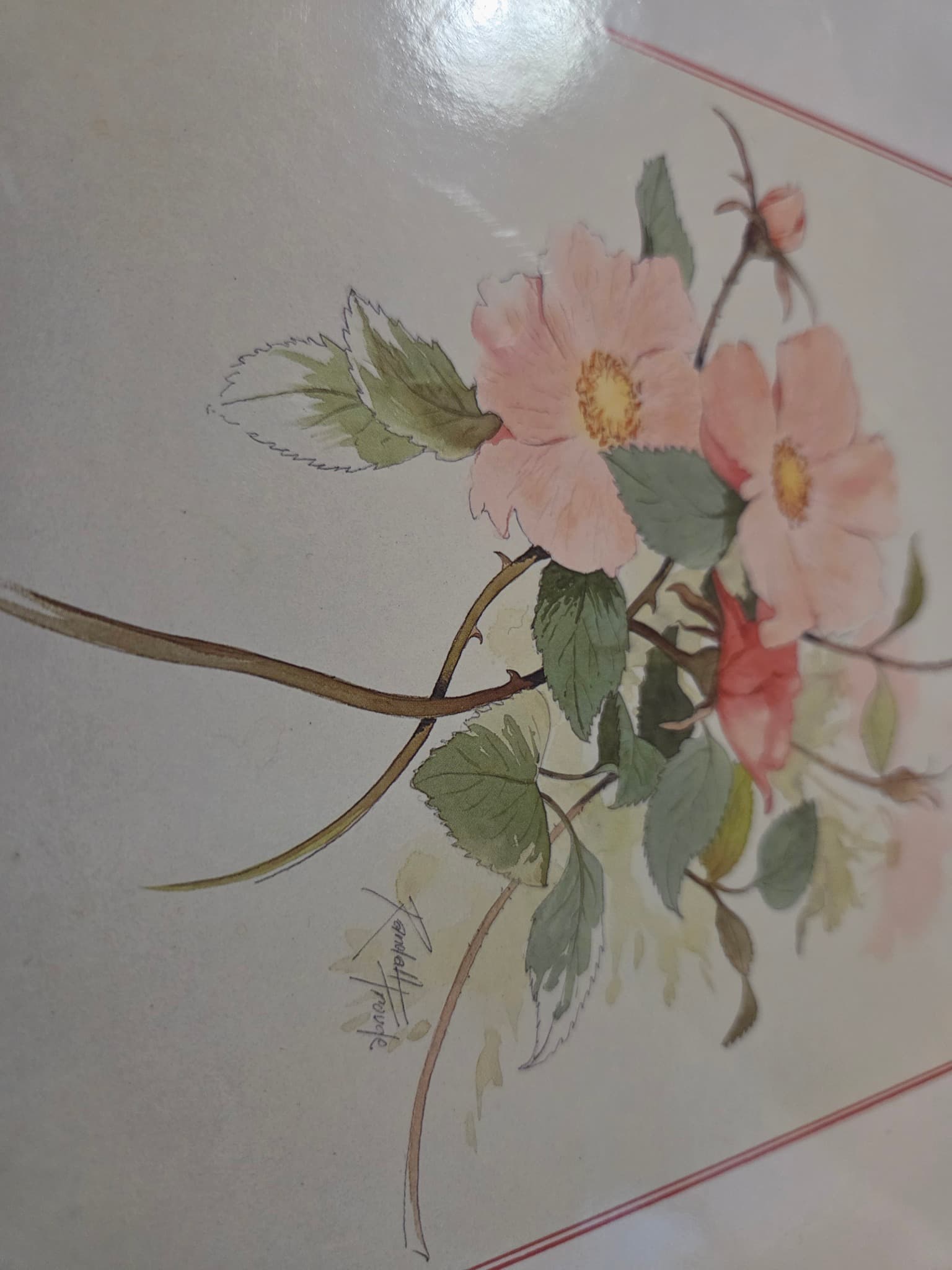Windsor Collection Floral Placemats - Set of 6 — photo 3 of 4
