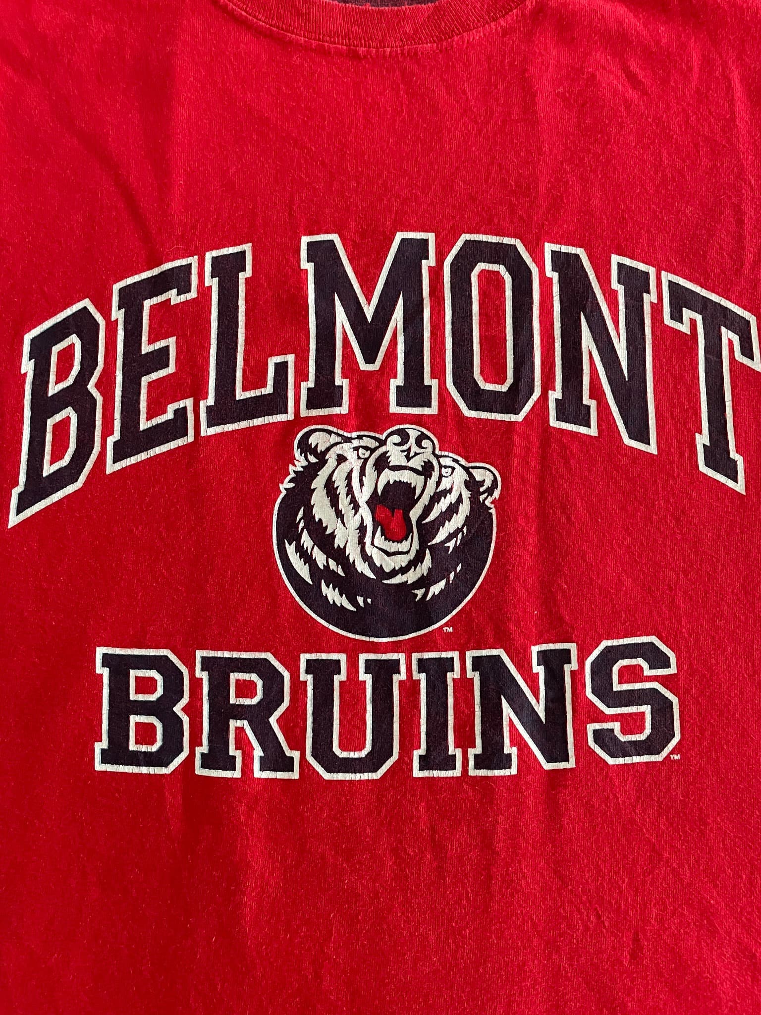 Champion Belmont Bruins Graphic T-Shirt Red Men's M — photo 2 of 8