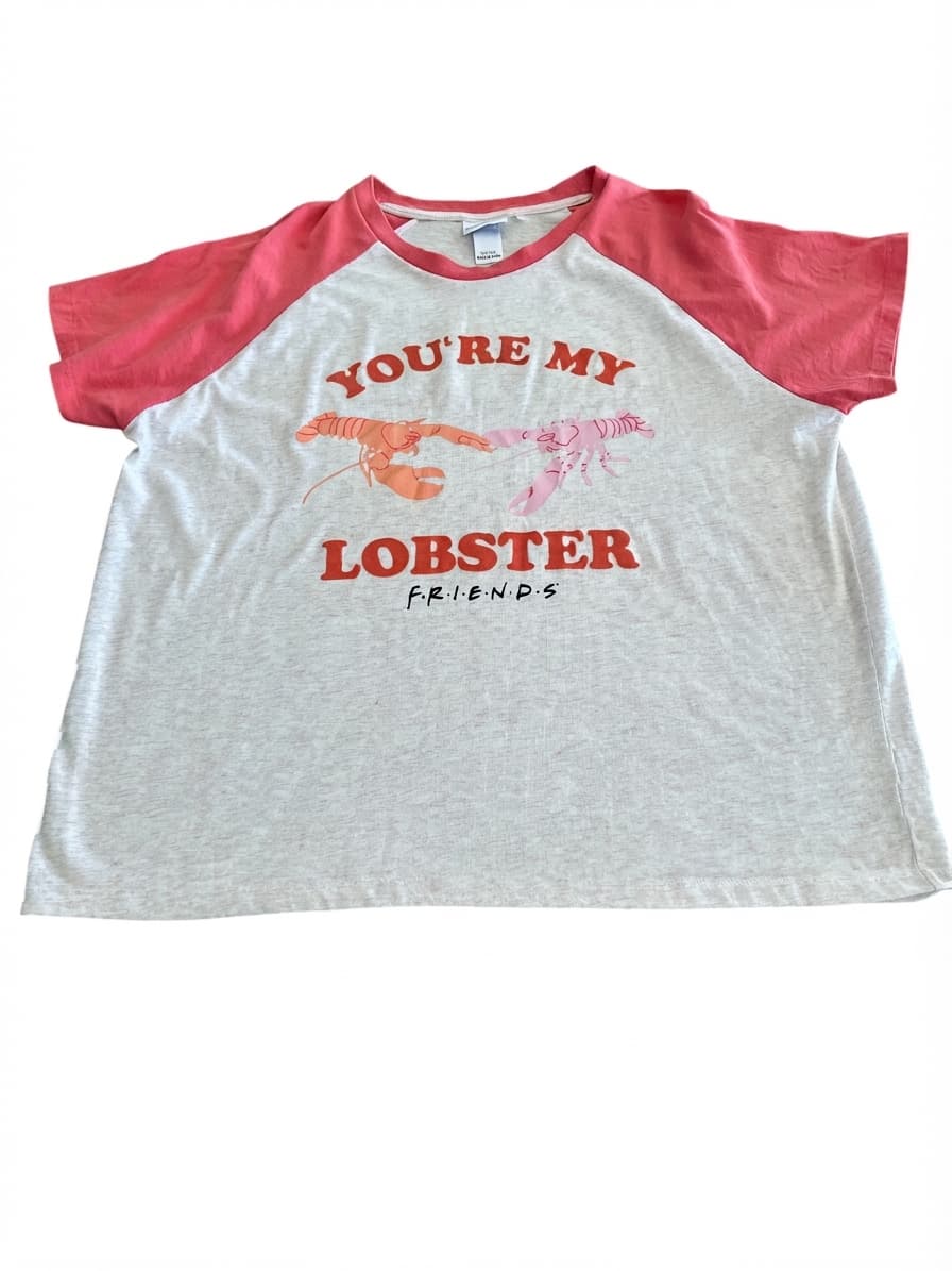 Friends You're My Lobster Raglan T-Shirt White and Pink 3XL — photo 1 of 8