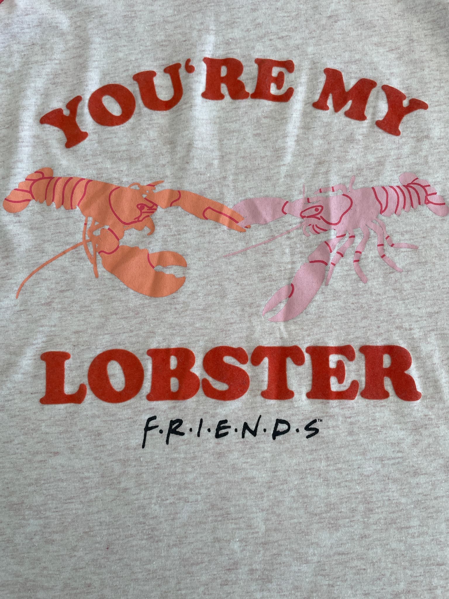 Friends You're My Lobster Raglan T-Shirt White and Pink 3XL — photo 2 of 8