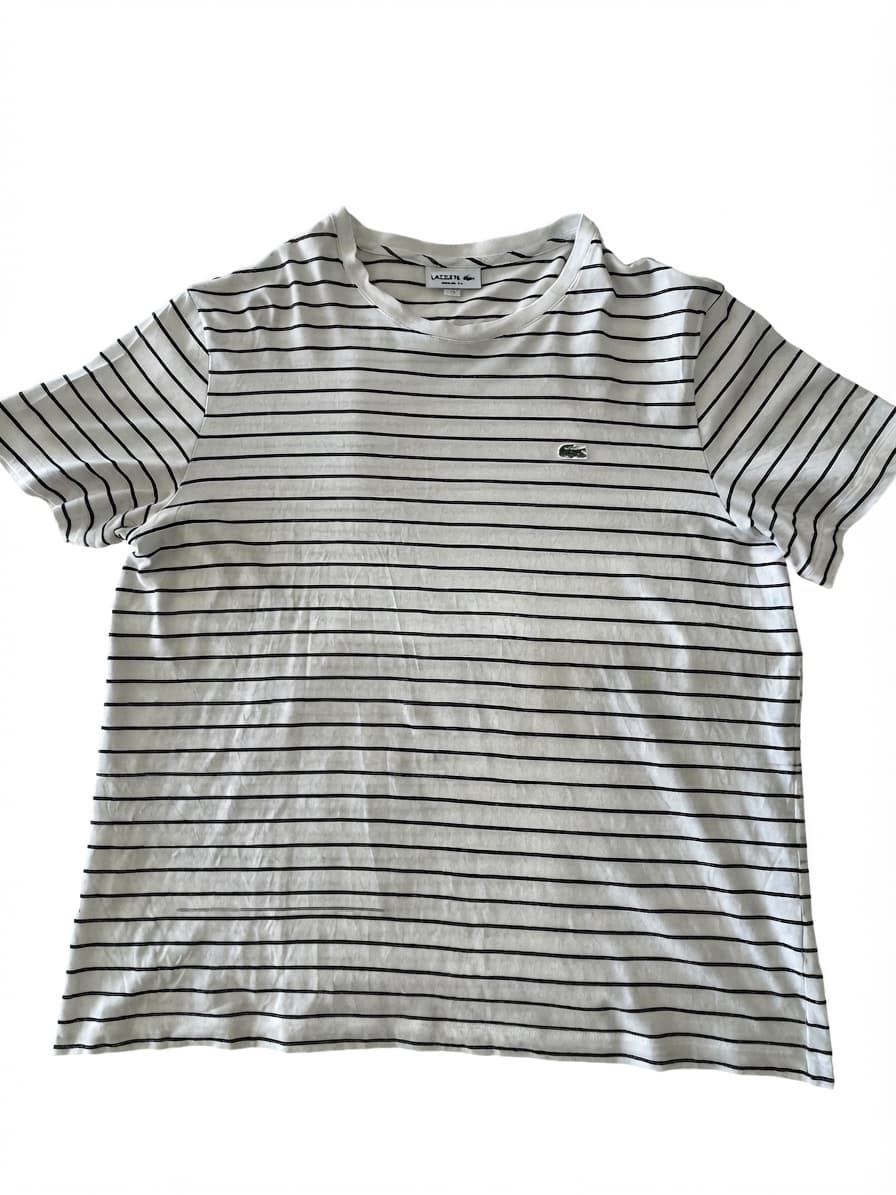 Lacoste Men's Regular Fit Striped Crew Neck T-Shirt — photo 1 of 6