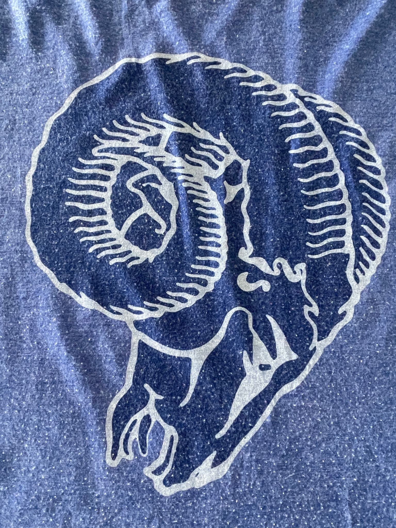 Nike Los Angeles Rams NFL T-Shirt Logo Blue Men's XL — photo 3 of 8