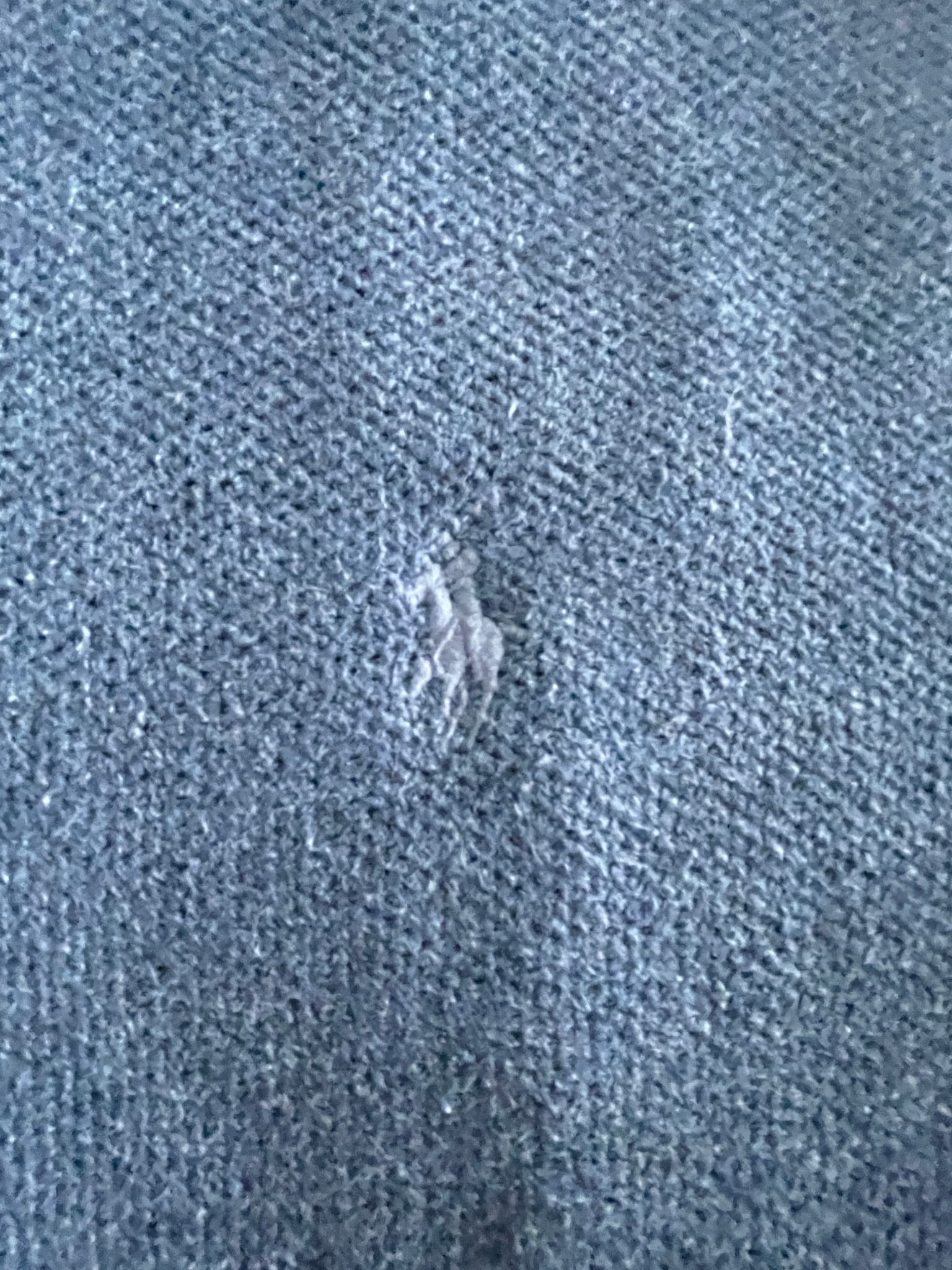Polo Ralph Lauren Full-Zip Mock Neck Sweater Blue Men's S — photo 2 of 13