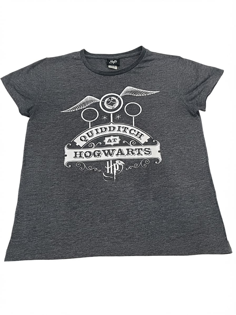 Quidditch at Hogwarts Graphic T-Shirt Grey Size M — photo 1 of 5
