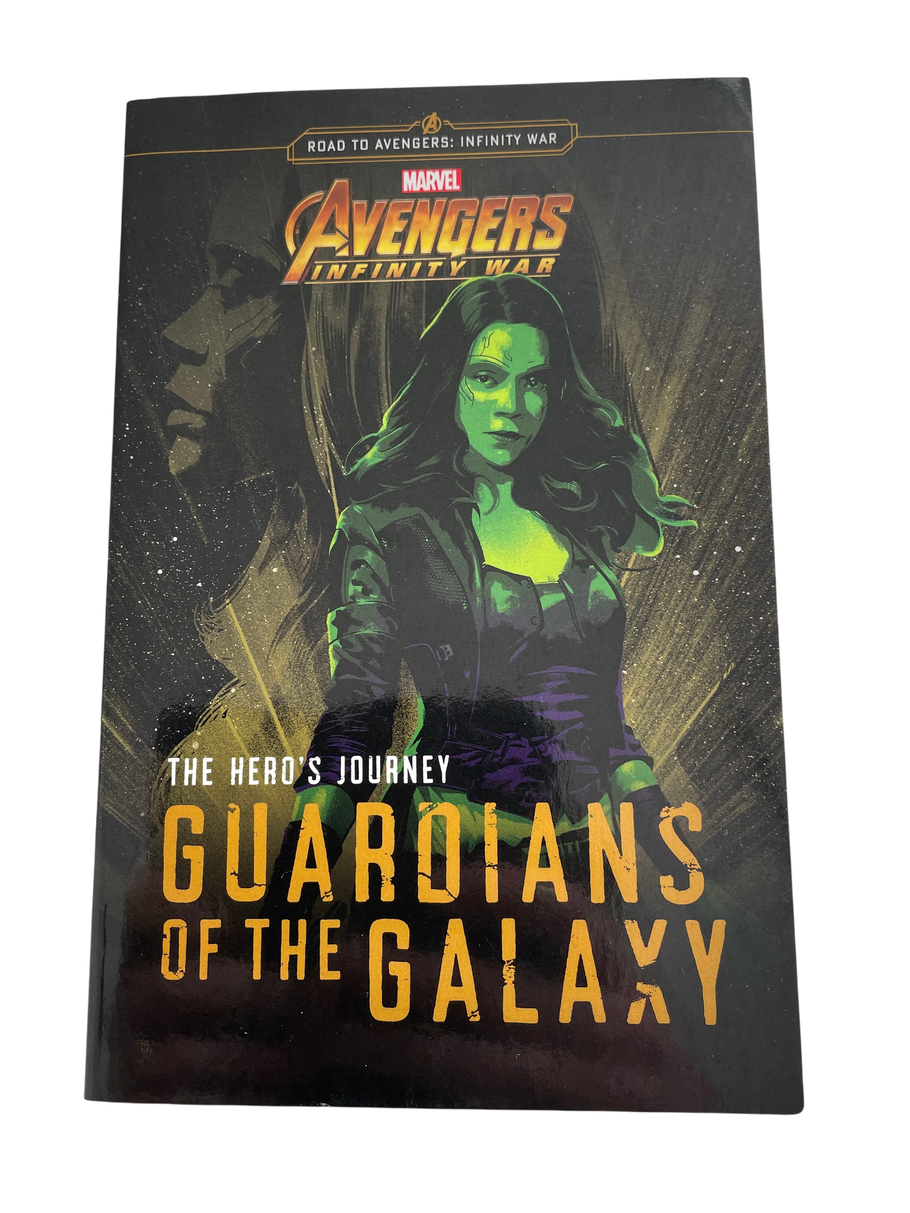 SCHOLASTIC Avengers Infinity War The Hero's Journey Guardians Of The Galaxy Book — photo 1 of 5