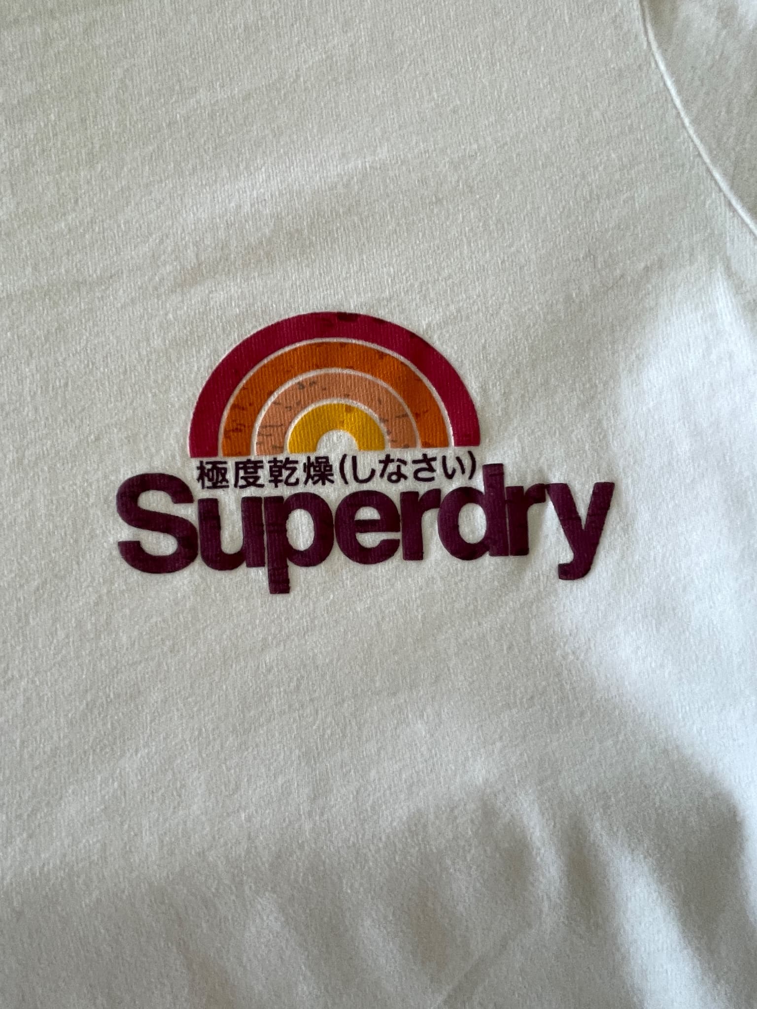 Superdry Women's White T-Shirt With Rainbow Logo Graphic — photo 3 of 5