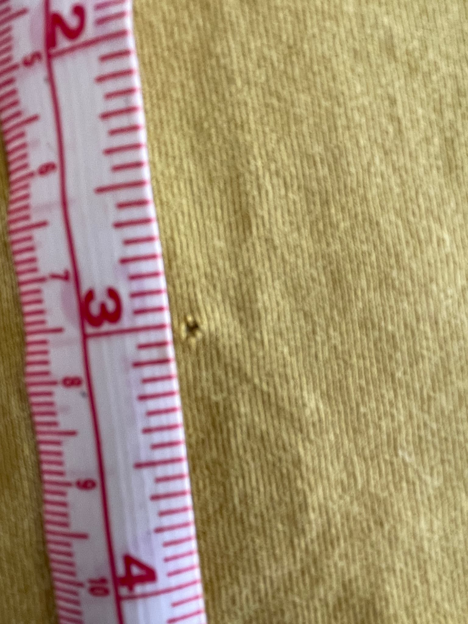 Timberland Logo T-Shirt Graphic Print Yellow Men's L — photo 6 of 7