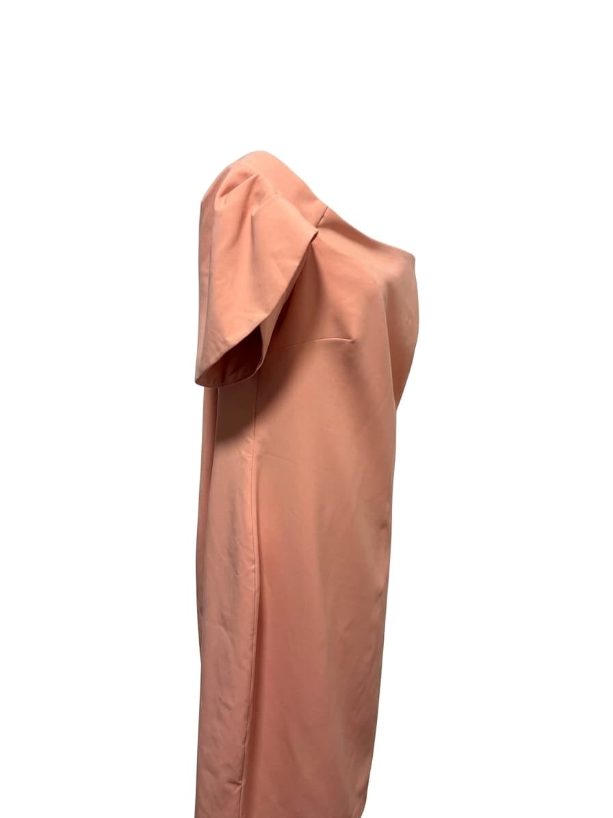 Jayson Brunsdon Black Label Musk Pink Asymmetric Flutter Sleeve Midi Dress 16 — photo 2 of 11
