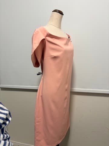 Jayson Brunsdon Black Label Musk Pink Asymmetric Flutter Sleeve Midi Dress 16 — photo 11 of 11