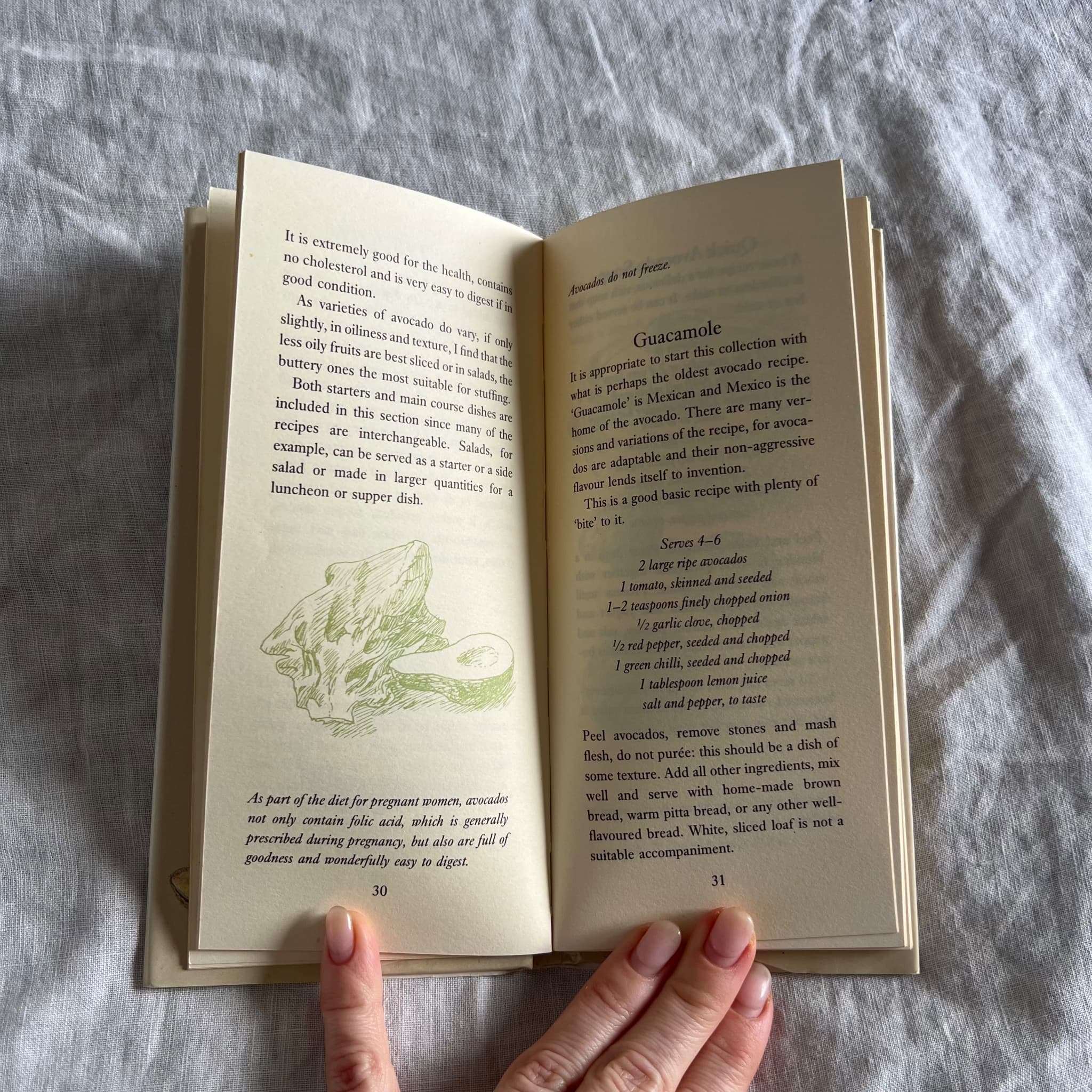 A Glut of Avocados by Ann Carr - Vintage 1988 Recipe Book — photo 4 of 7